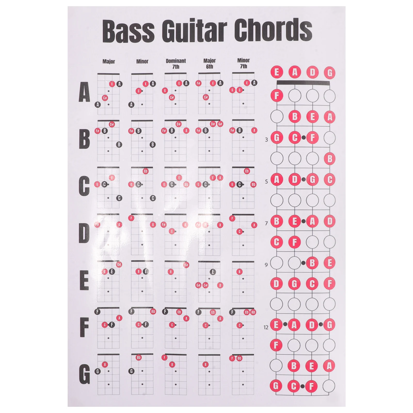 

Guitar Bass Chord Diagram Poster 38cm A4 21x30 Matte Paper Durable Learning Tool Beginner Music Theory Chart Guide