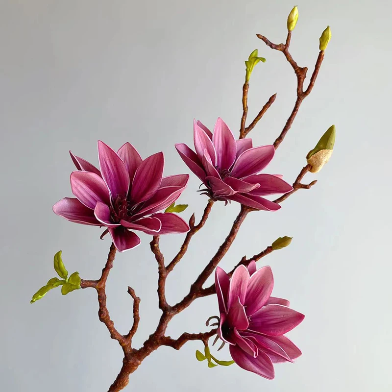 72 سنتيمتر اللمس الحقيقي إيفا ماغنوليا باقة كبيرة الأوركيد الزهور الاصطناعية فرع مع أوراق الزفاف المنزل الجدول زهرية حفلة الديكور
