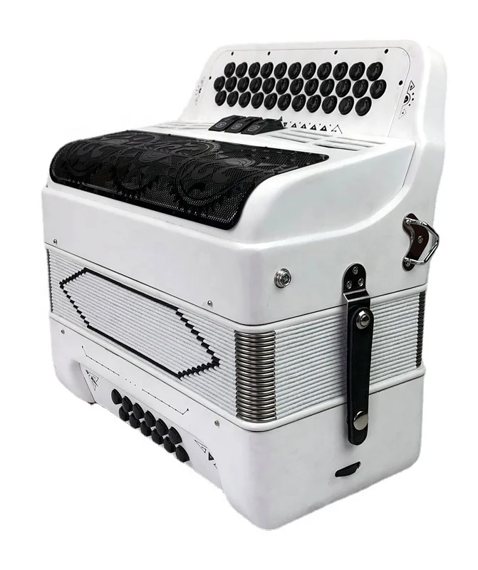 34 Key 12 Bass Diatonic Button Accordion Durable Delicate Paint Musical Instrument For Student Folk Practice Performance