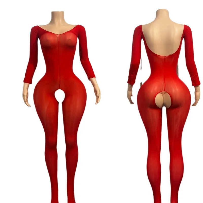 Sexy Women Stretchy See-Through Bodystockings Long Sleeve Open Breast Open Butt Bodysuit for Fun Tempting Nightwear Catsuit