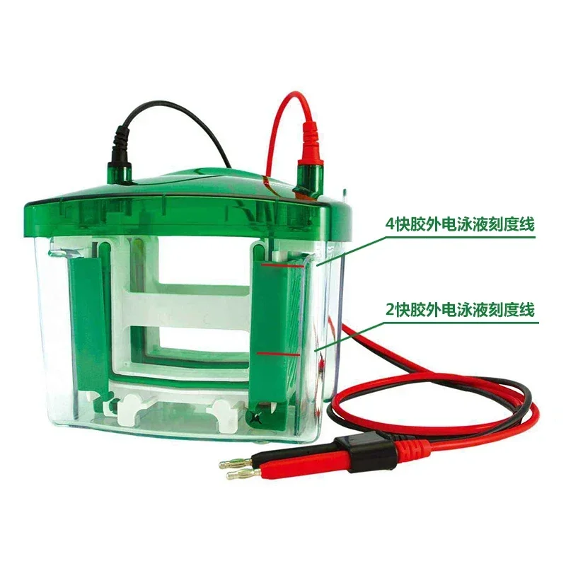 Small vertical electrophoresis tank, protein tank, gel-making system, electrophoresis tank electrode core, domestic accessories