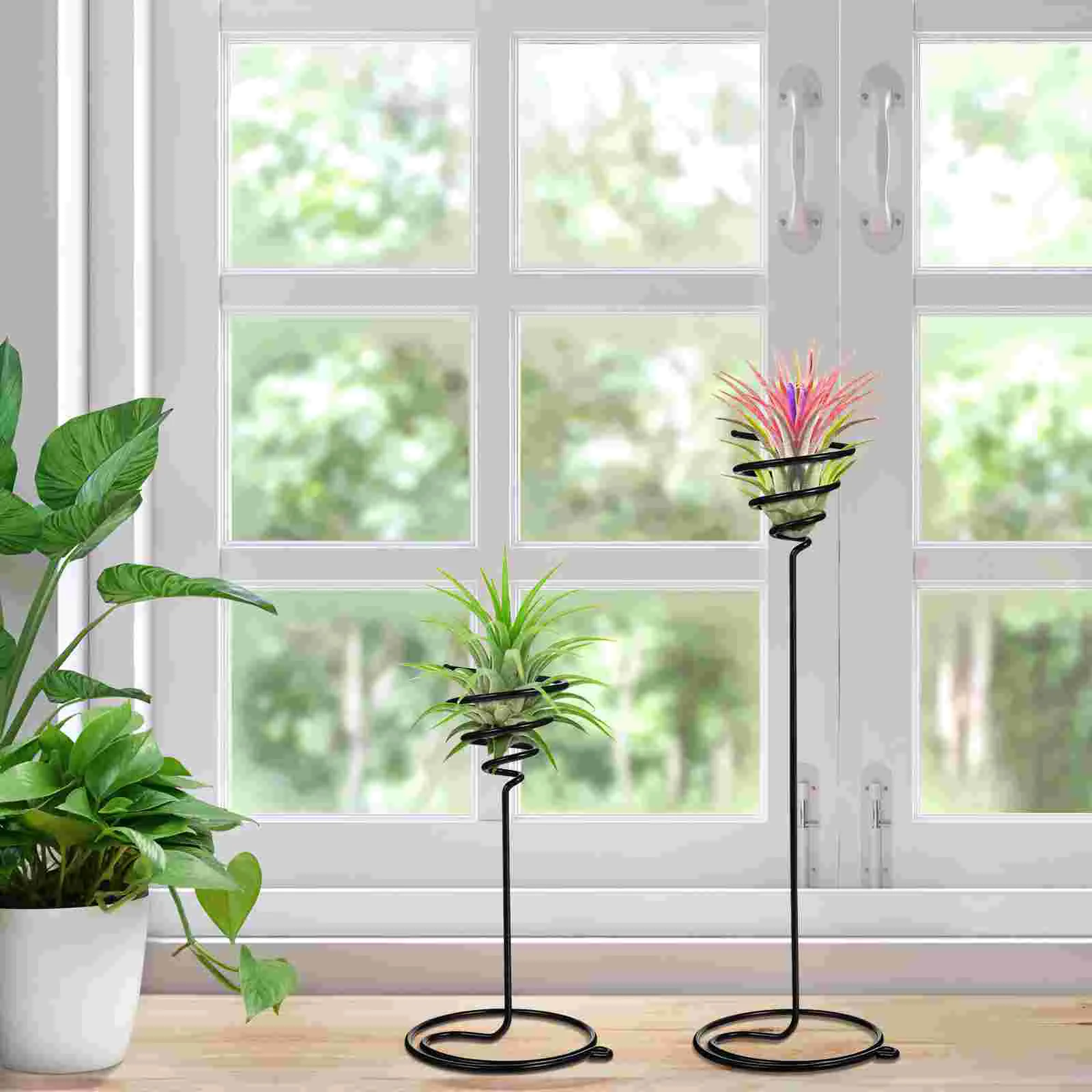 3Pcs Flower Stand Tillandsia Displaying Holder Spiral Houseplants Live Indoor Air Container Metal Outdoor Tillandsia Holder