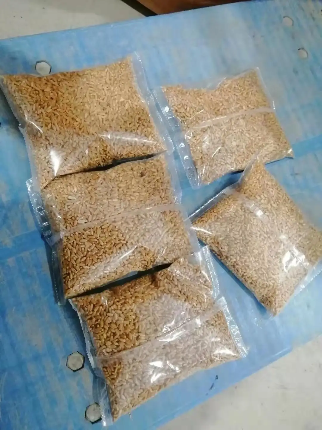 1-100G Automatic Te…