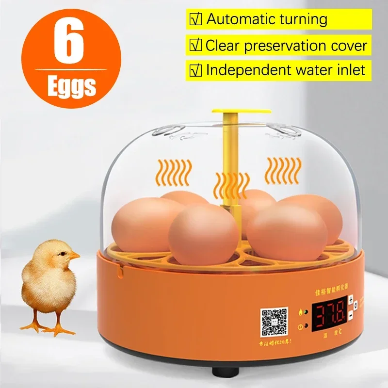 

Mini Egg Automatic Incubator Brooder Auto Turning Digital Temp Control Egg Incubator for Children Chicken Birds Duck Goose 6 Egg