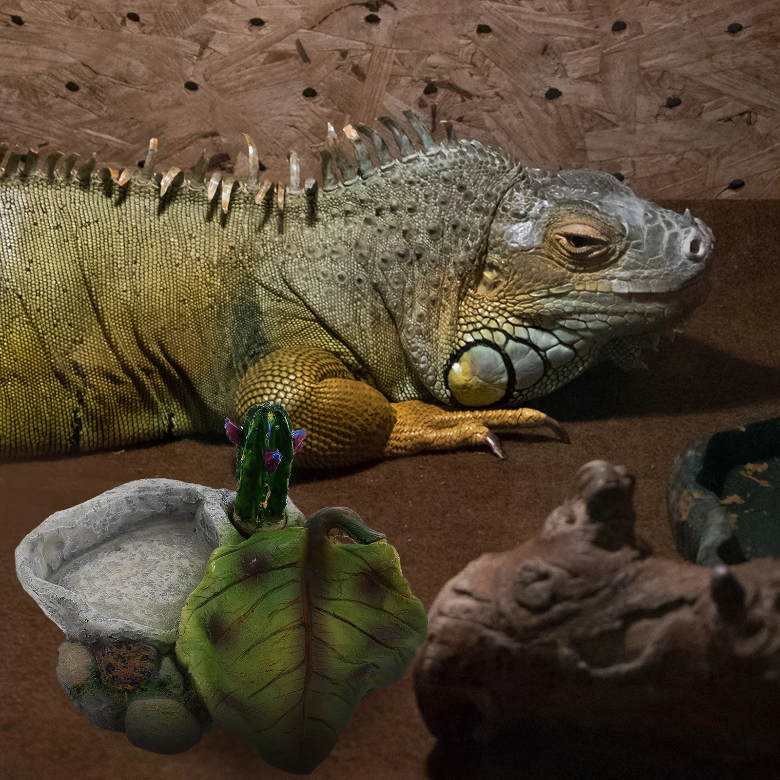 

Reptile Water Feeder Dish Resin Food Bowl Lizard Drinking Dish Durable Pet Supplies Reptile Food Bowl