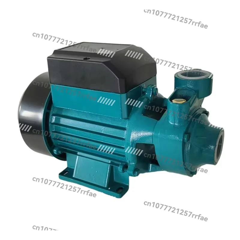 QB60 single stage vortex pump household booster pump low pressure can be customized clean cast iron brass 0.37kw 220V