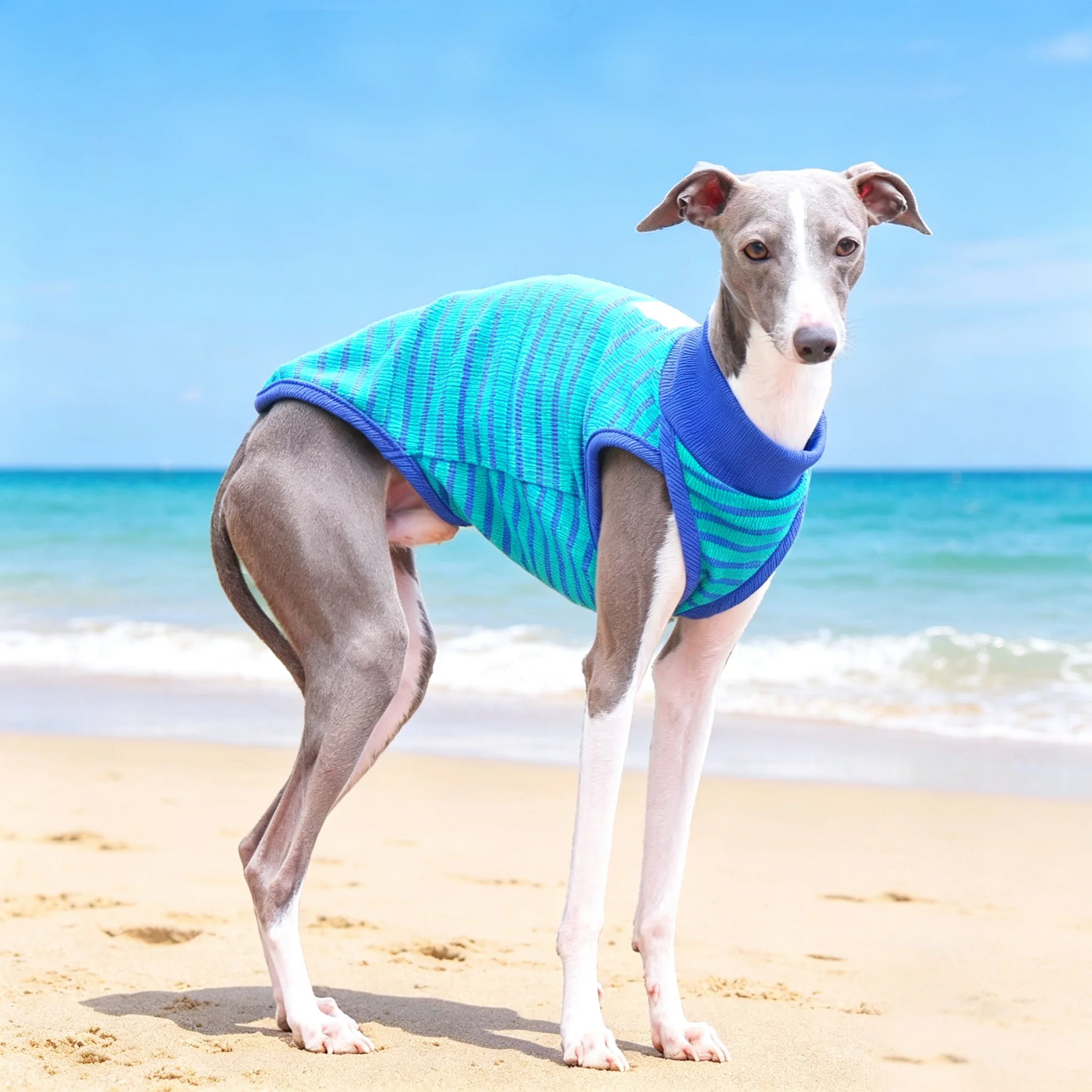 Camiseta solar UV para galgo italiano y Whippet – Transpirable verano