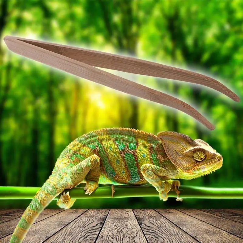 

G6KA Feeding Tweezers Eco-Friendly Bamboo for Turtles Lizards 11 Inches Curved Long Tongs for Holding Worms