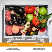 Pocket RGB Fill Light Portable LED Light Video Mini Fill Light For Camera Smartphone for GoPro Laptop Selfie Adjustable RGB Lamp 5