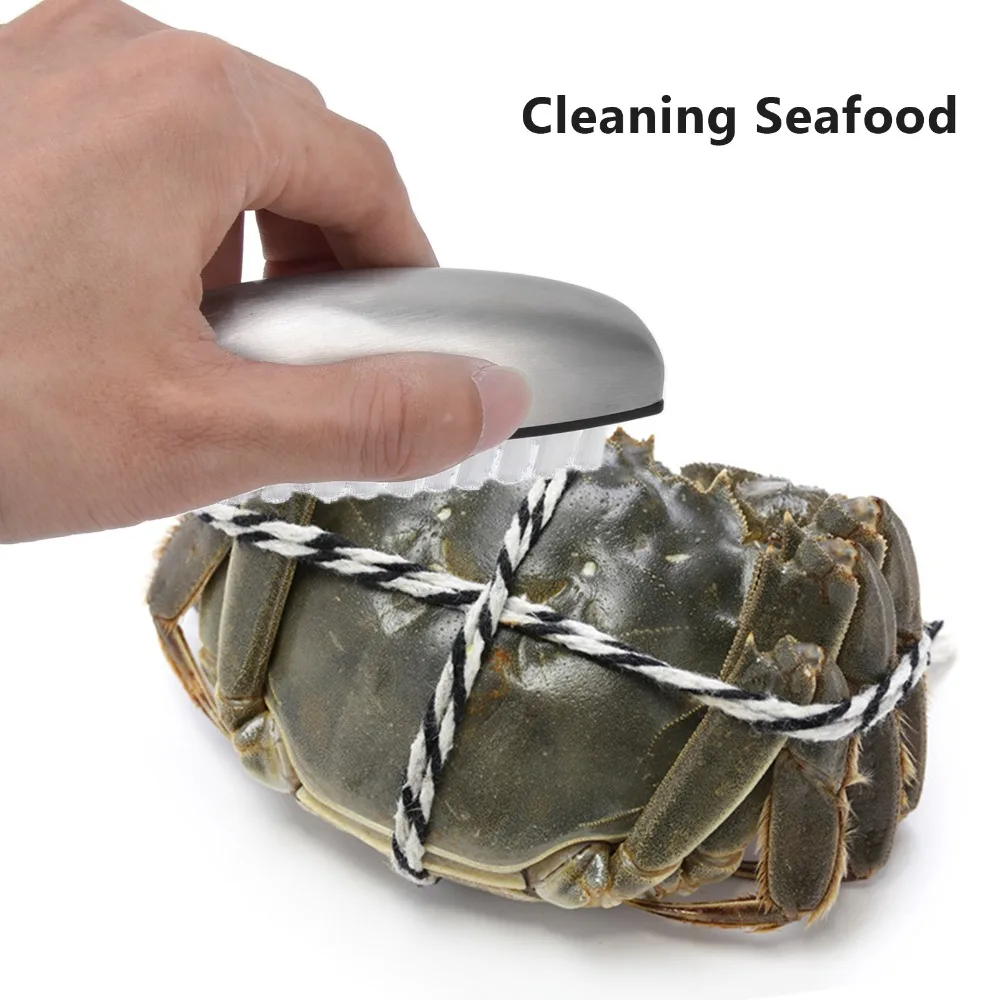 304 Stainless Steel Fruit Vegetable Cleaning Brush Nylon Wool Bristle Odor Absorbing Finger Nail Brush Mud Cleaning Brush