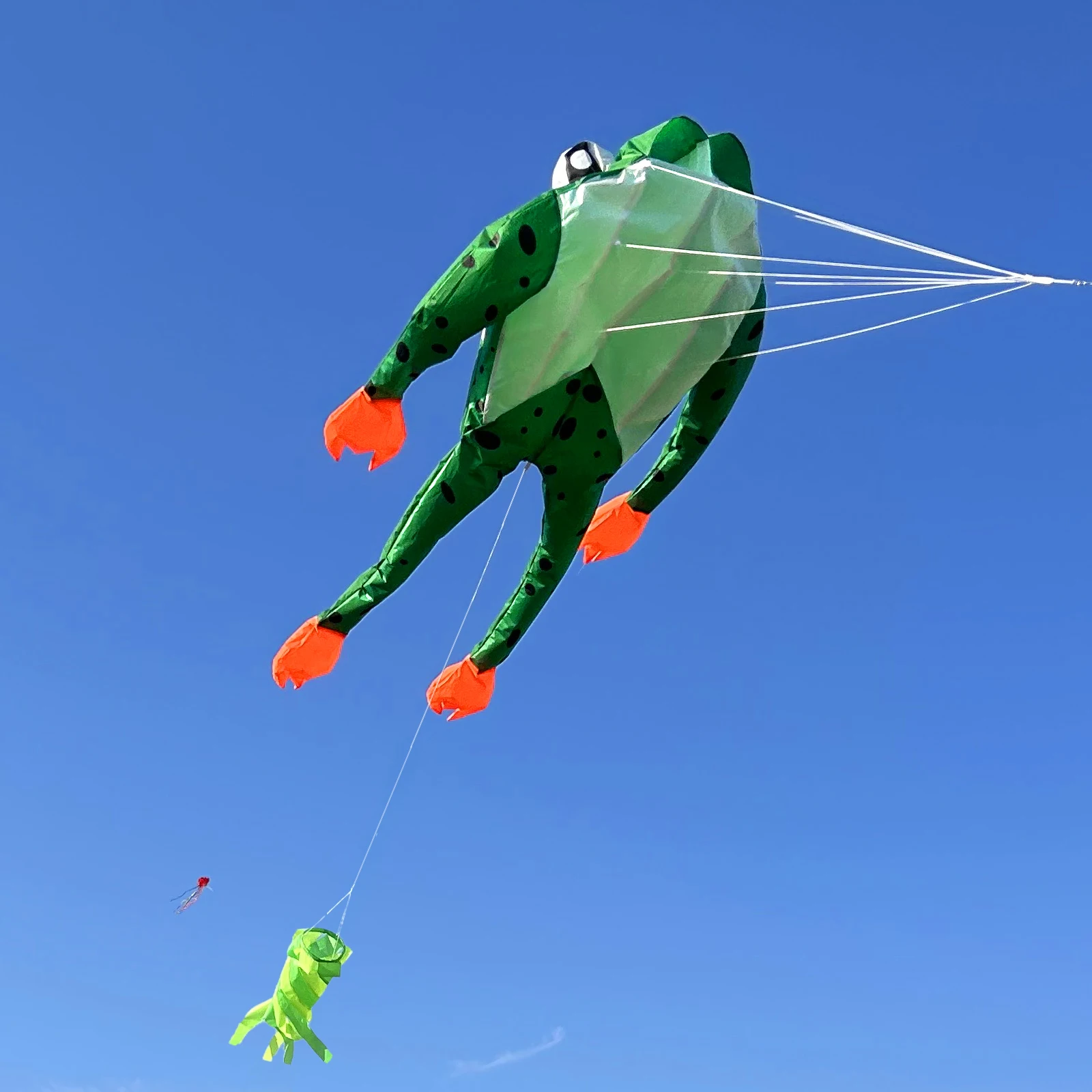 New High-Quality Hu…