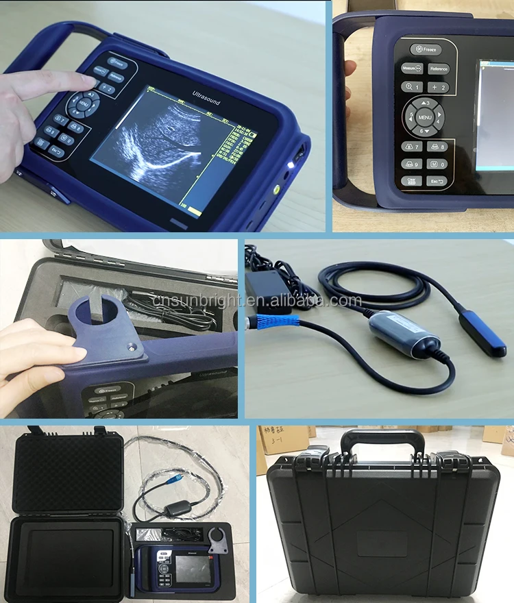 Portable Handheld Factory Price Sun-808F For Horses Cows Sheep Pigs Cats Dogs Use Veterinarian Vet Ultra Sound Machine