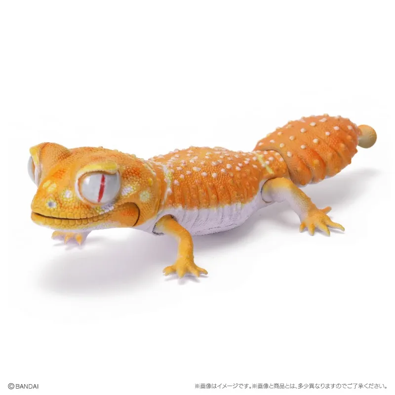 Original Bandai Gashapon Big Biological Map A Round-tailed Leopard Gecko Lizard Animal Action Figure Model Toys Gifts Collection