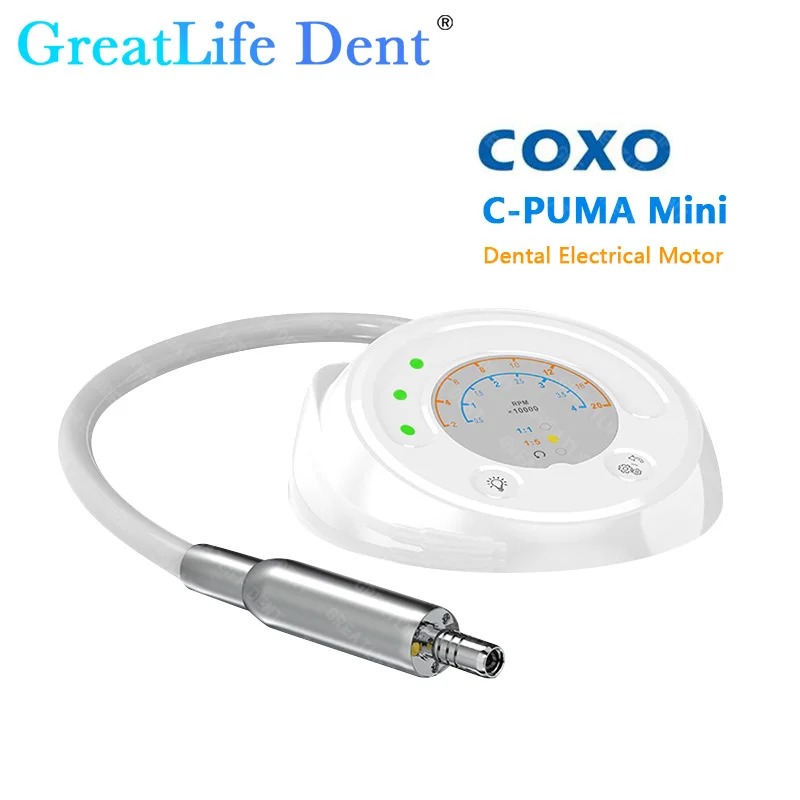 GreatLife Dent COXO C-Puma Mini Electrical Brushless Motor 1:1 Endodontic Instrument All in One 1:5 Polishing And Trimming Motor