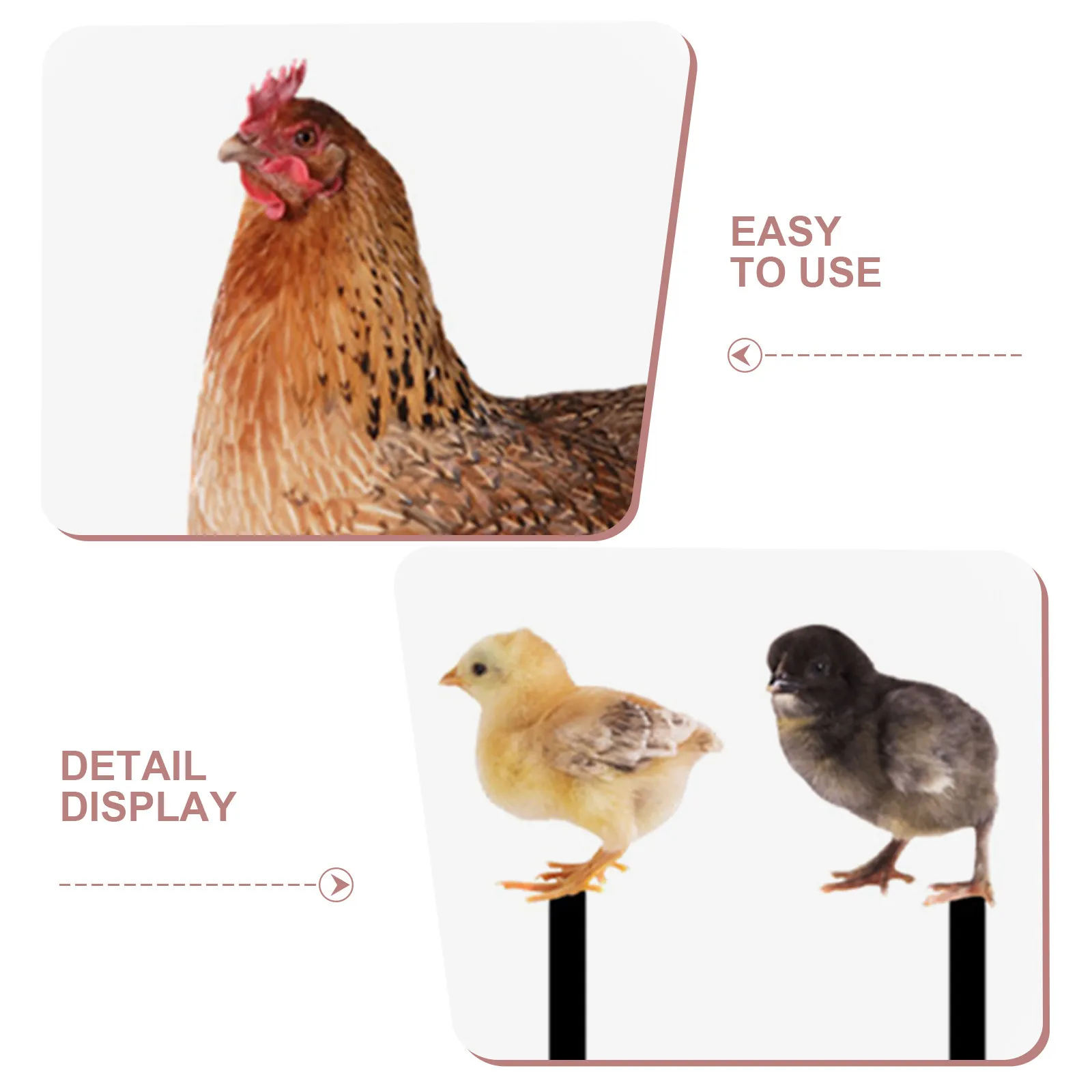1Set Simulation Chicken Stake Garden Yard Sign Acrylic Lawn Ornament Outdoor Garden Accessory Decorative Hen Stake view 5