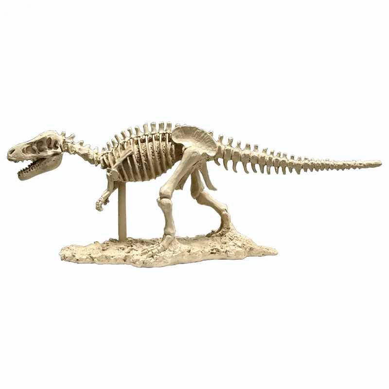 modele-d'etude-de-fossile-de-dinosaure-decoration-etagere-bogu-salon-magasin-cadeau-modele-creatif-jurassique