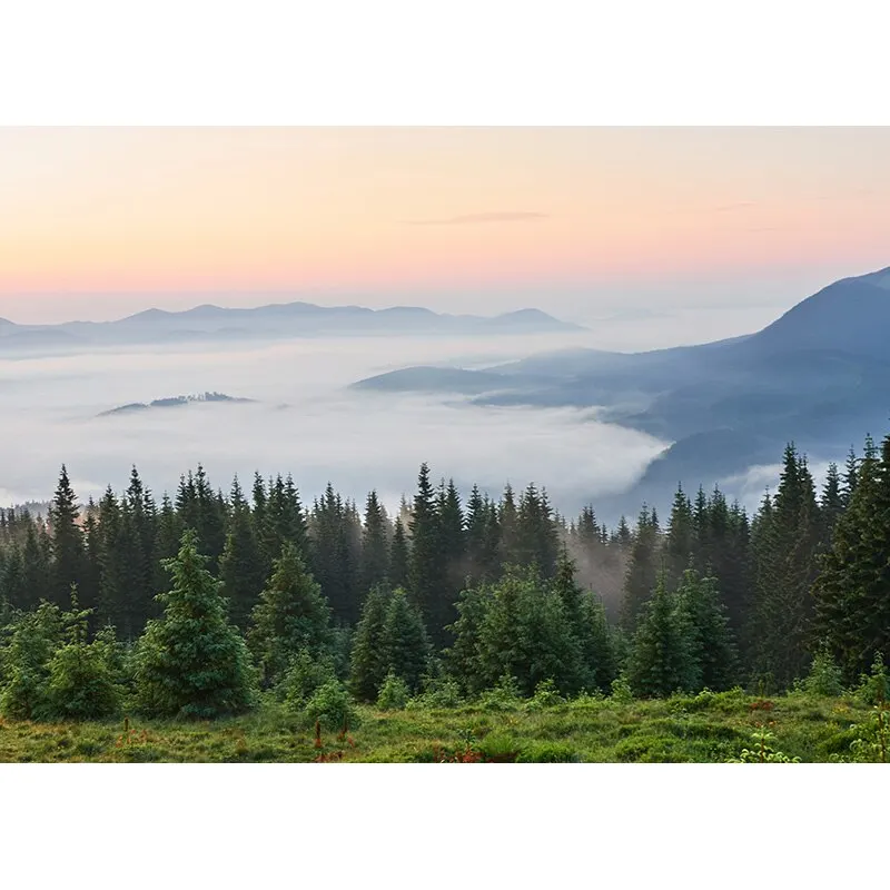 写真の背景,緑の草,花の風景,旅行の背景,スタジオアクセサリー,21128,CTCD-06
