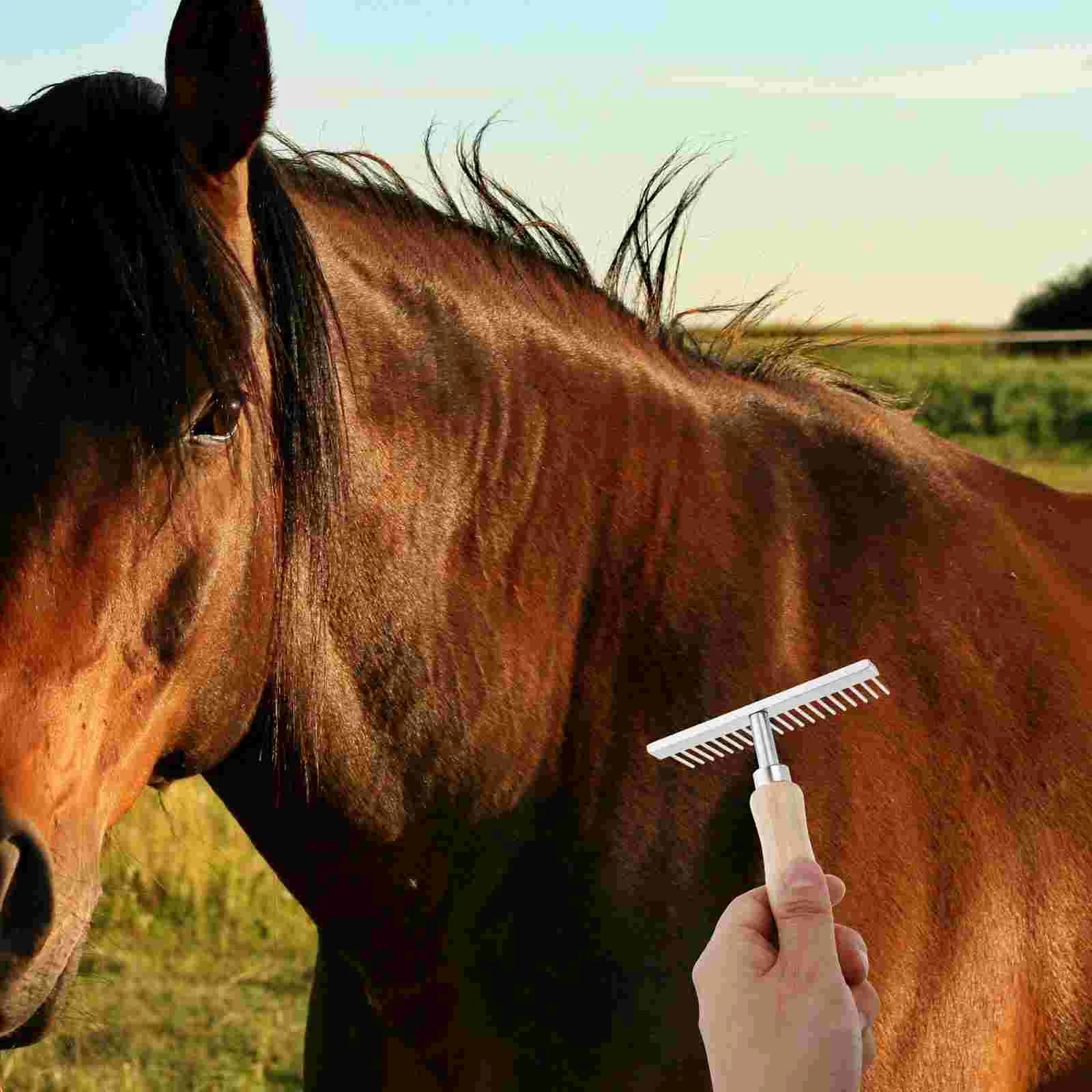 Cepillo de limpieza ecuestre, peine para el cuidado de mascotas, peines para perros y ganado, raspador de caballo para deshedding de vacas