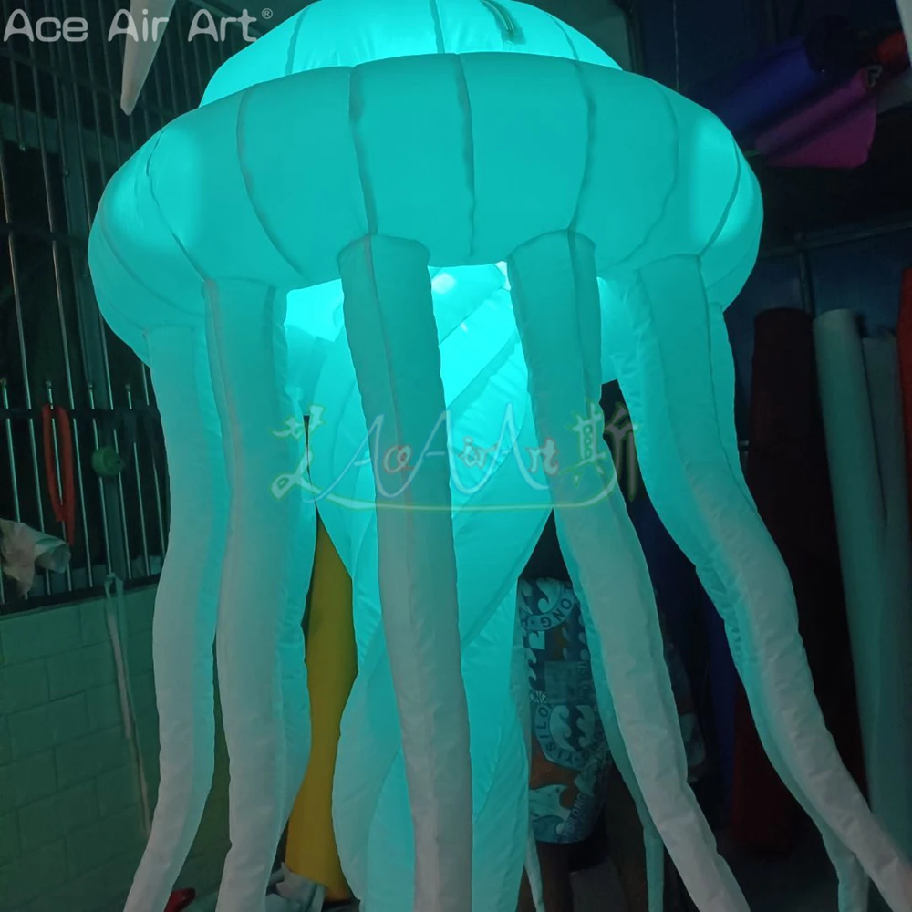 Appeso a soffitto gigante Meravigliosa meduse gonfiabili Pop Up Scaleph Relipca con luci a LED che cambiano colore per la decorazione di eventi