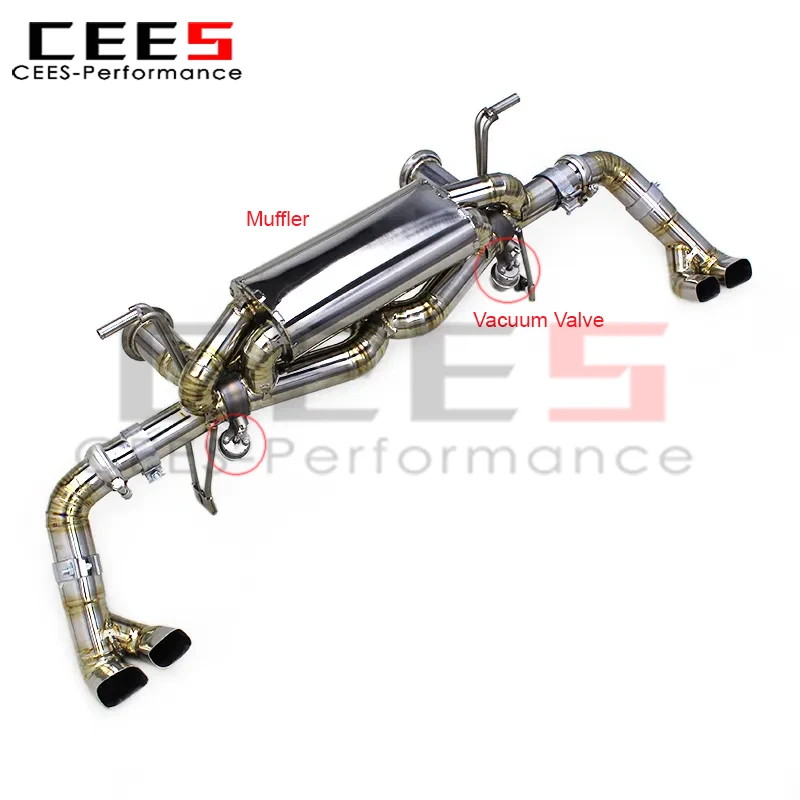 CEES High Quality Silver Catback Exhaust Muffers Escape for Audi R8 V10 5.2 2016-2020 Exhaust Pipes