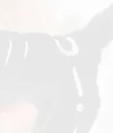 

Милый Хэллоуин, черный череп, собака, плюшевая кукла, мягкие игрушки, брелок, подвеска, сумка, очаровательный рюкзак, подвесные украшения, брелок для девочек, подарки