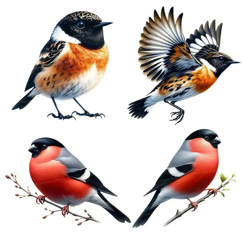 

Magpie Animals Wall Sticker Kids Room Bedroom Home Decoration Wallpaper Background Decor Self Adhesive Decals S438