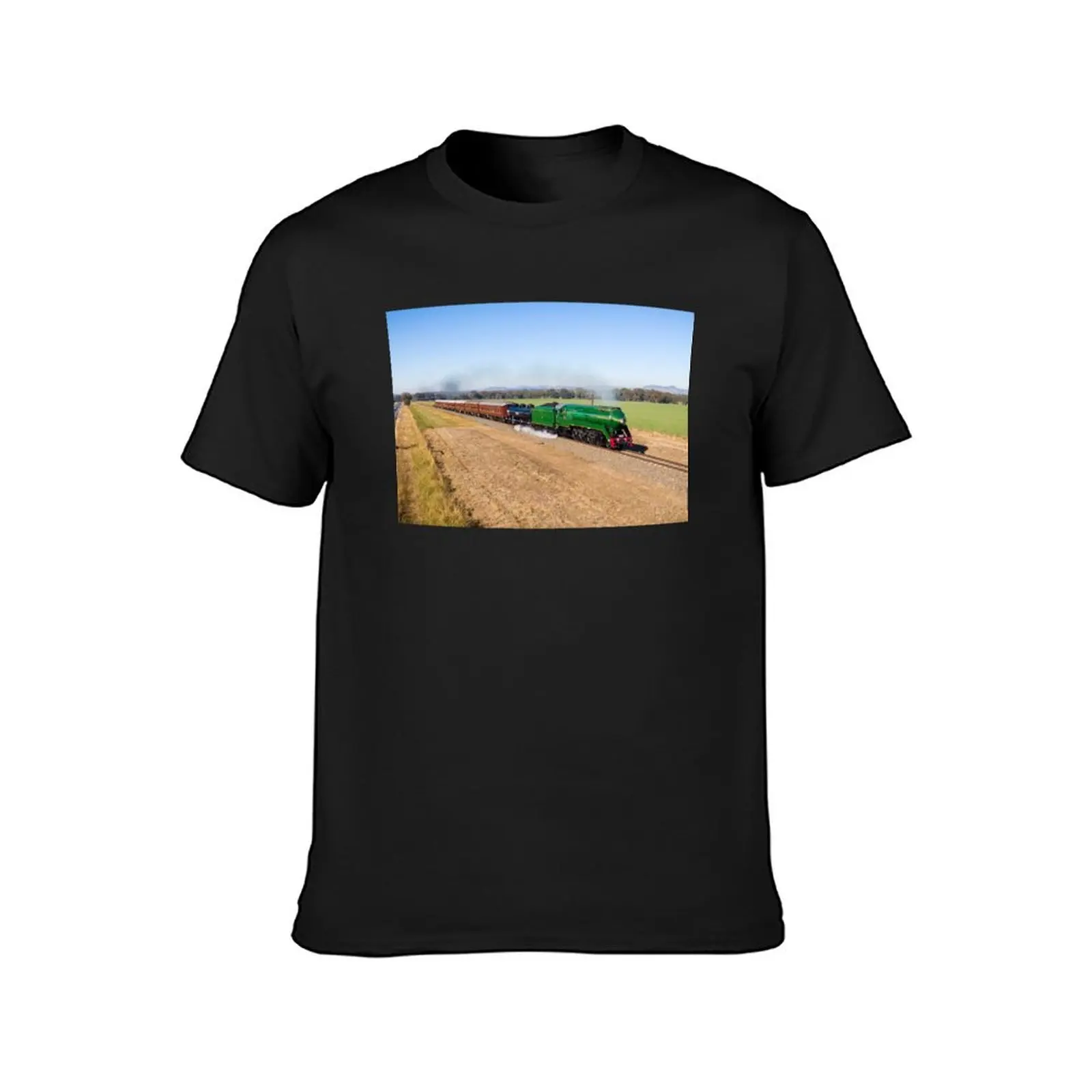 Riverina 3801 - Australian steam locomotive. T-Shirt cute clothes anime for a boy vintage men clothings