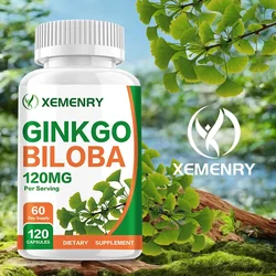 Ginkgo Biloba 120 Mg - Nootropic Brain Supplement To Enhance Memory and Concentration