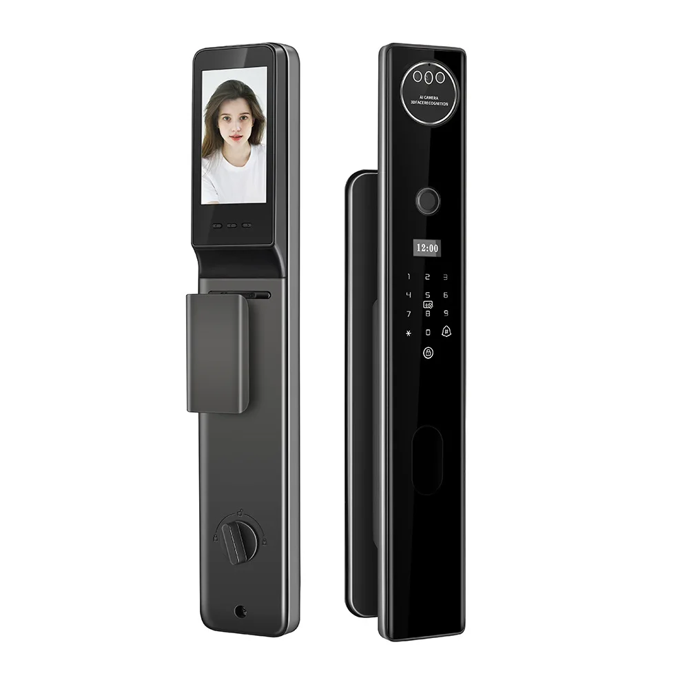 Graffiti Automatic Cat Eye Face Fingerprint Swipe Card Key Smart Lock Manufacturer Wholesale