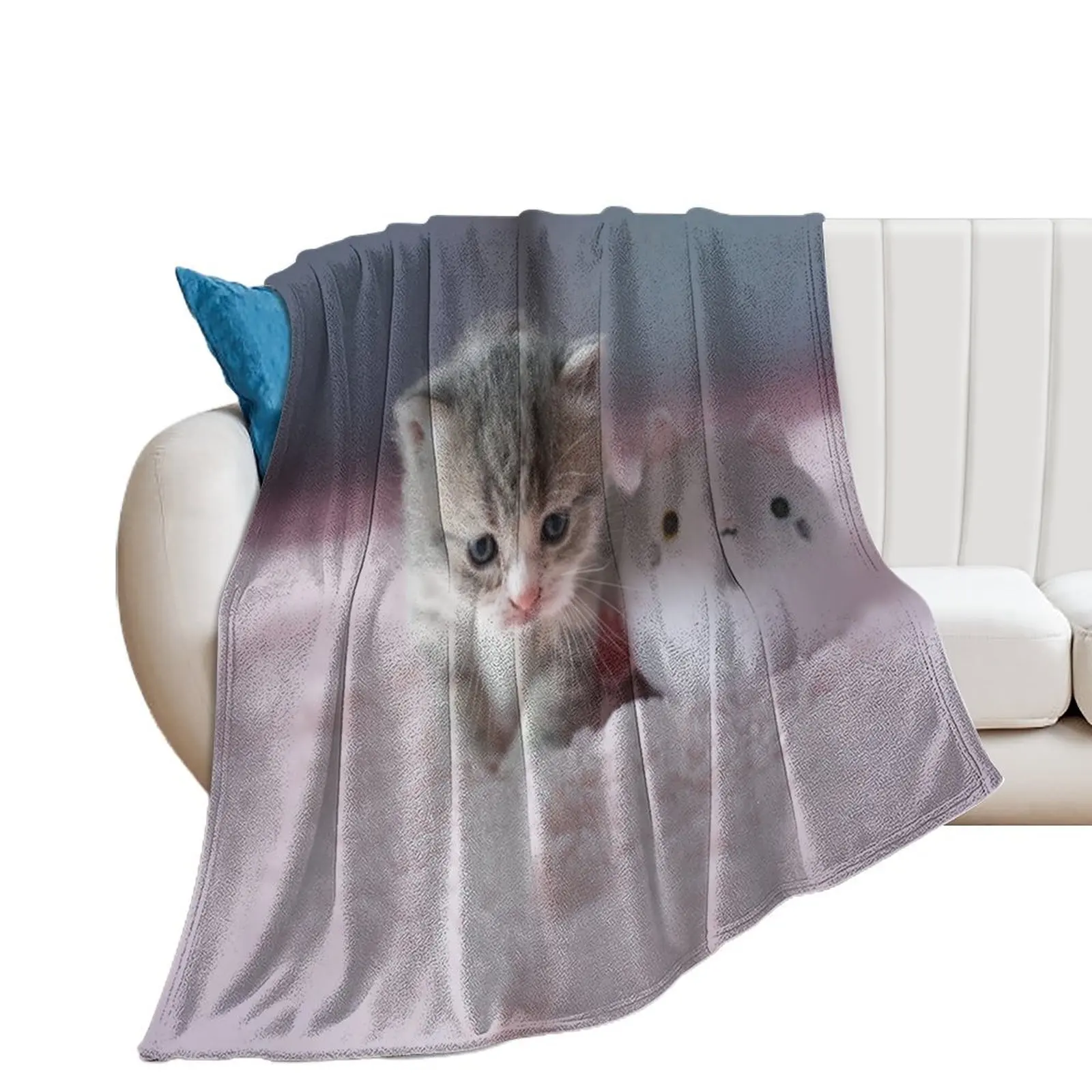 

Kitten Throw Blanket Luxury Multi-Purpose Nap Thin Blankets