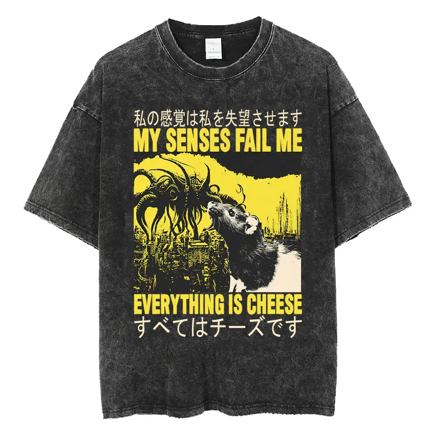 

Винтажные футболки с эффектом потертости «Предвестник неловких ситуаций», забавные японские футболки в стиле Weirdcore с графическим принтом, мужские футболки в стиле Харадзюку, топы