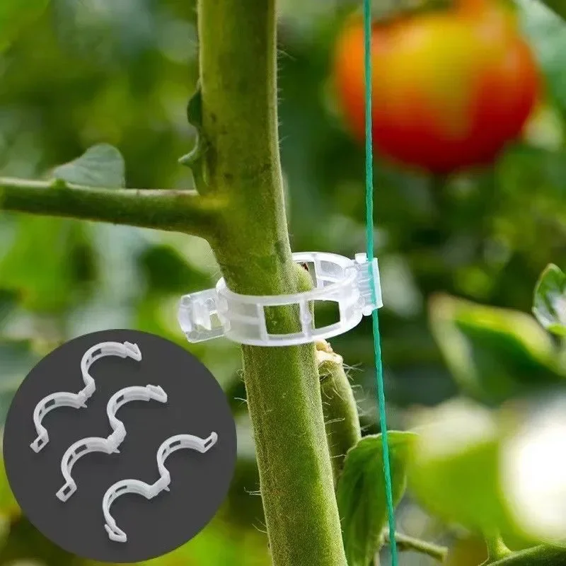 Outdoor Wholesale Garden Plant Clips Plastic Vine Support Reusable Growing Tools for Tomato Cucumber Vegetable Farming Supplies