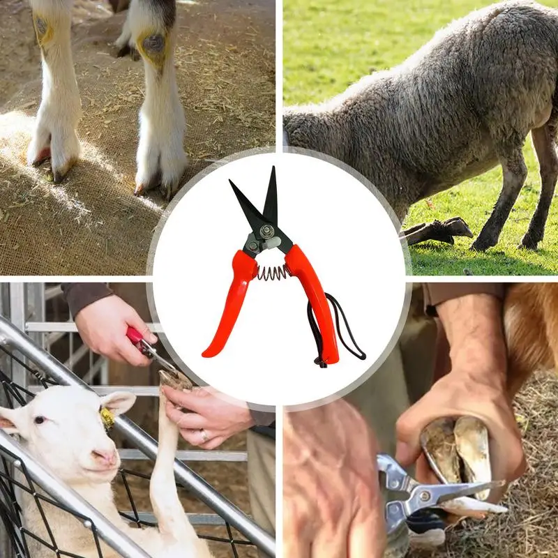 Sheep Hoof Trimmers Shrub Plant Floral Pruning Cut Shears Garden Scissor Shears Goat Hoof Trimmers Alpaca Lamb Pig Nail Clippers - view 5