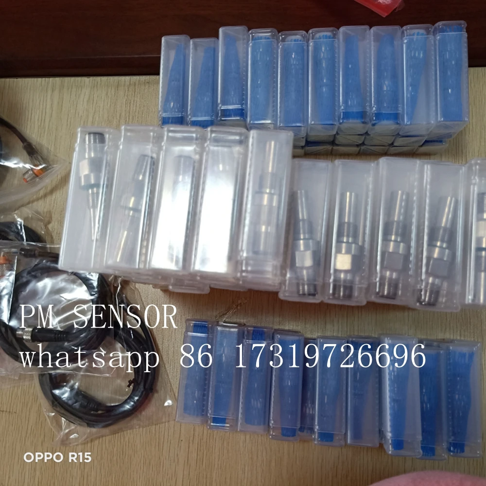 Putzmeister Concrete Pump Sensor 270321001 Magnetic Switch Original Spare Part for Construction Equipment