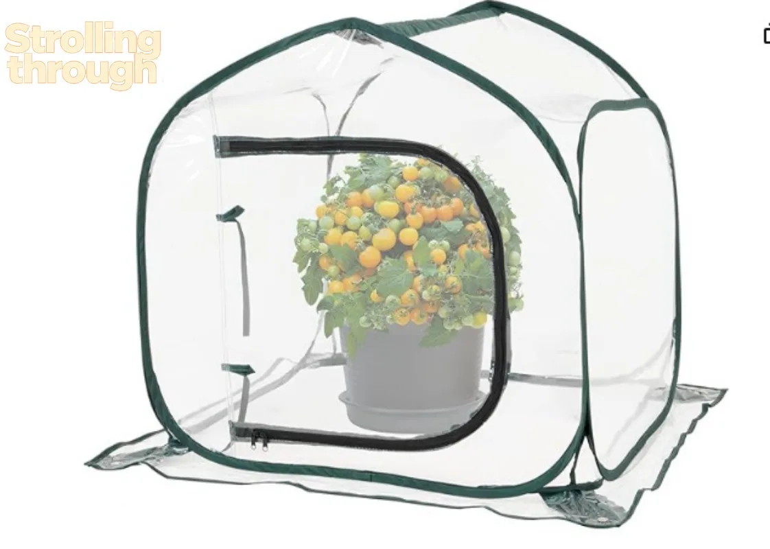 

Складной прозрачный мини-тепличный комплекс из ПВХ для растений, защищающий от насекомых, для суккулентов