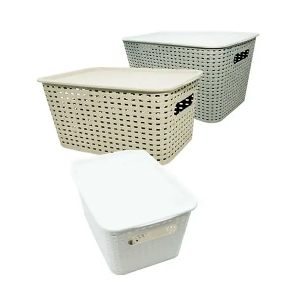Rat Pattern Lid Basket Color Random Capable Basket
