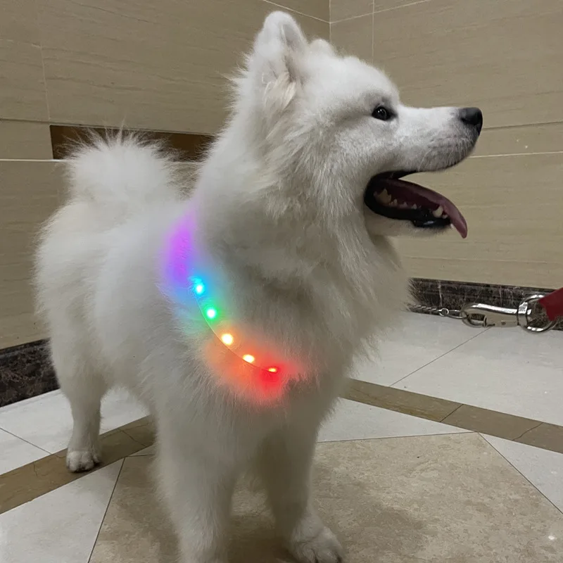 Led Dog Collar Pet Dog Collar Night Puppy Pet Cats Collars Glowing Luminous USB Rechargeable Night Safety Flashing Glow Color