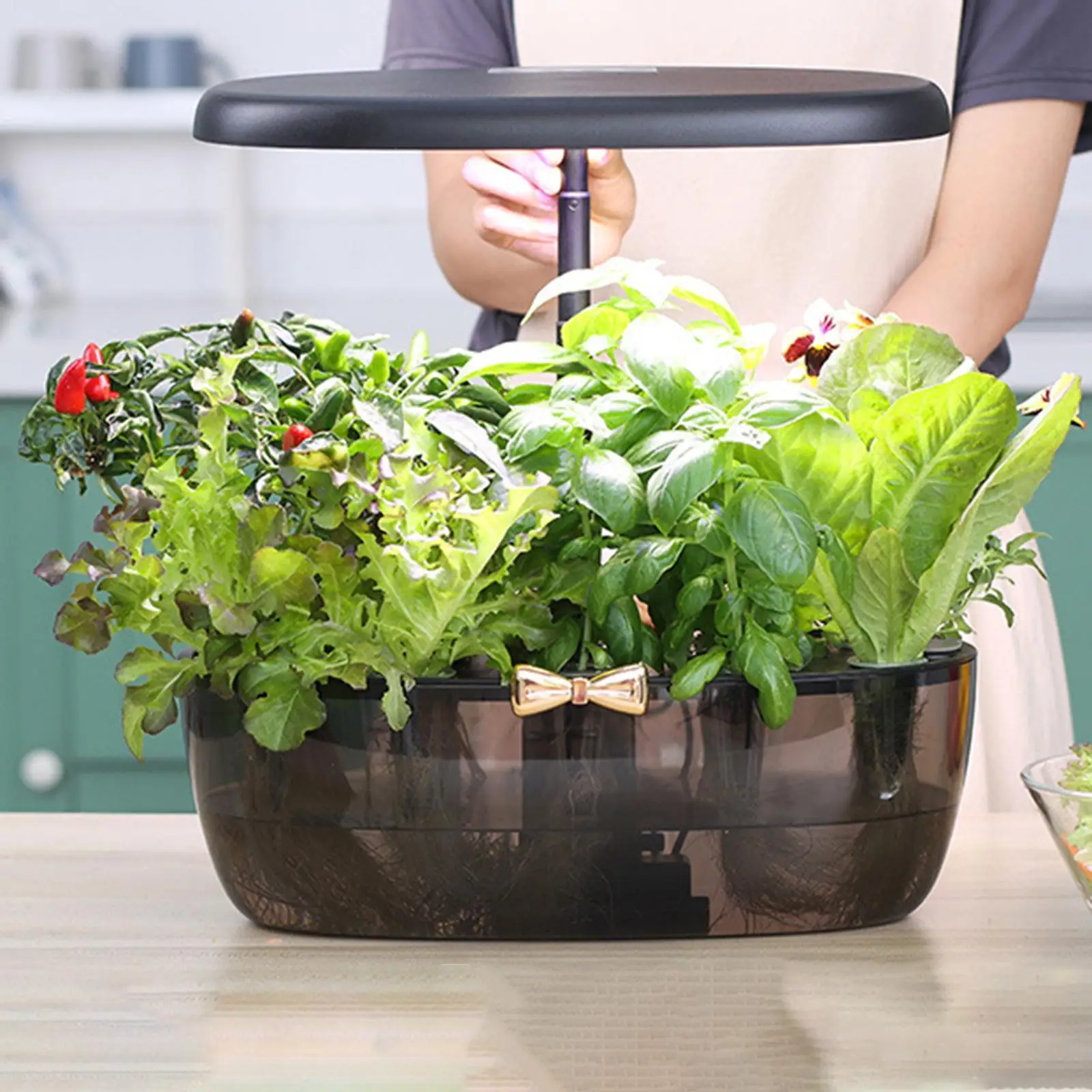 

Система выращивания растений 12-струйная машина для выращивания гидропоники, светодиодный светильник для выращивания растений, комплект для выращивания растений для домашнего садоводства, овощей