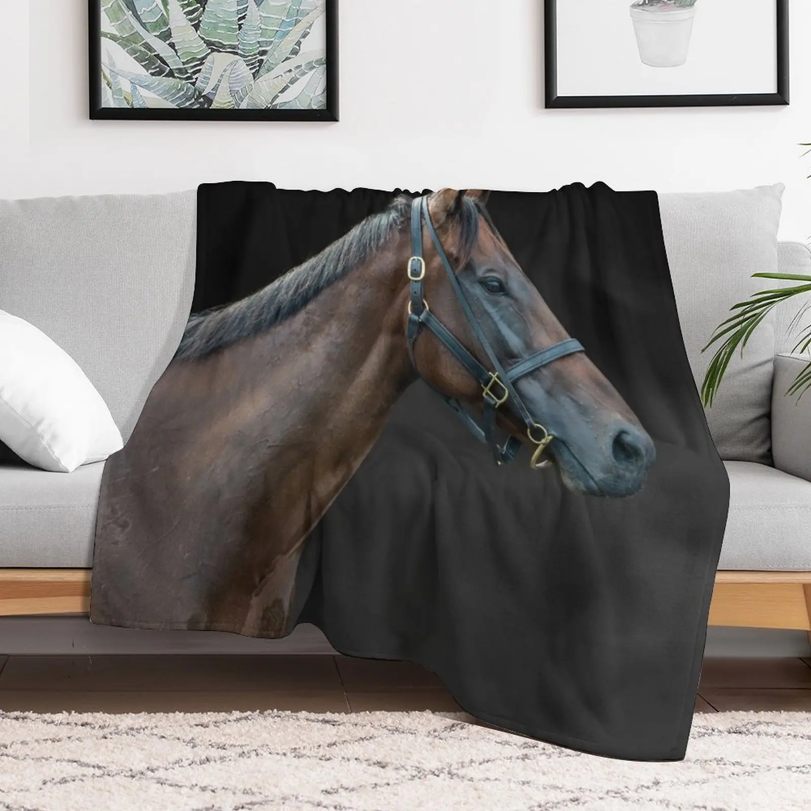 Winx - Colour - The Rosehill Farewell Throw Blanket Stylish Decor Blanket Gift for Friends Roommate
