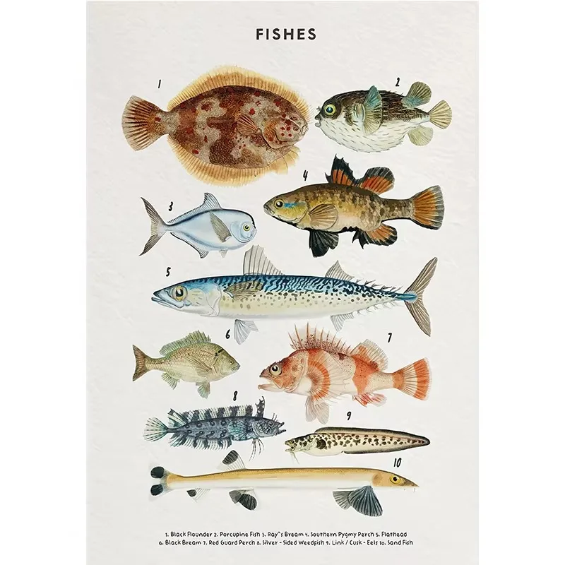 Marine Life Ocean Animals Whale and Shark Seashells Turtles Octopus Fish Poster Canvas Painting Wall Art Pictures Home Decor