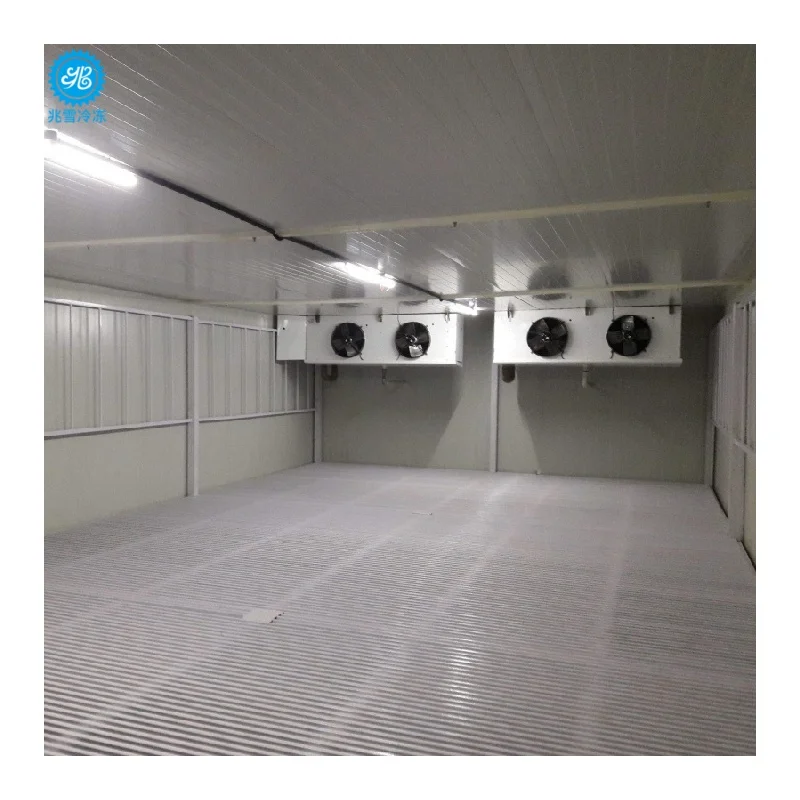 Commercial Walk in Freezer Cold Room with Smart Temperature Control for Supermarket Warehouse