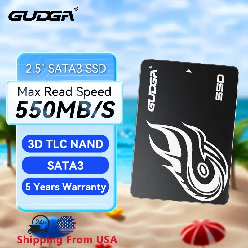 GUDGA 2.5 Inch SATA III SSD 128GB/256GB Internal Solid State Drive for Laptop Desktop PC, Compatible with Acer/Dell/HP
