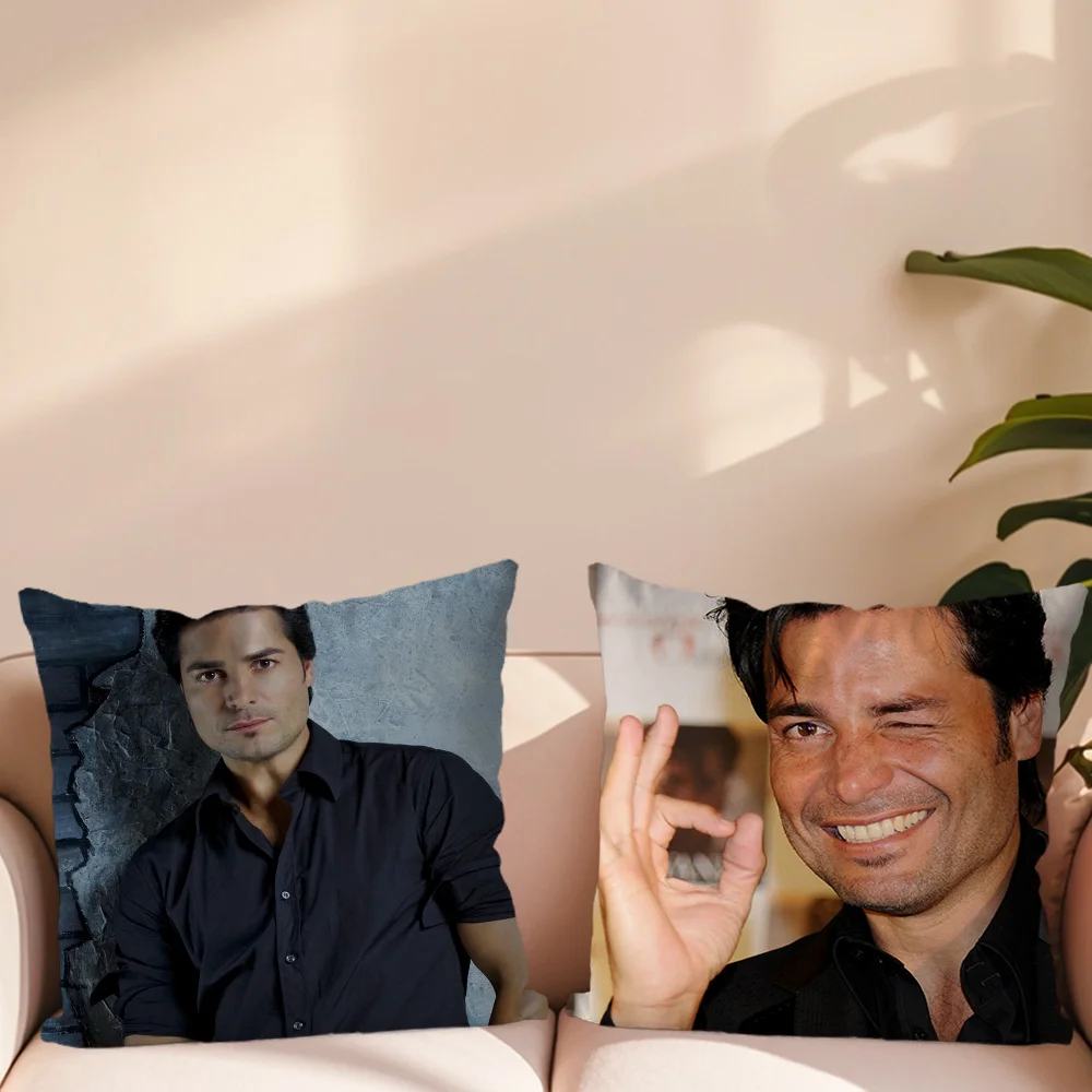 Singer Chayanne Puerto Rican Pillow Case For Sofa Bedroom Living Room Office Bedside Table Backrest Cushion Printing Square