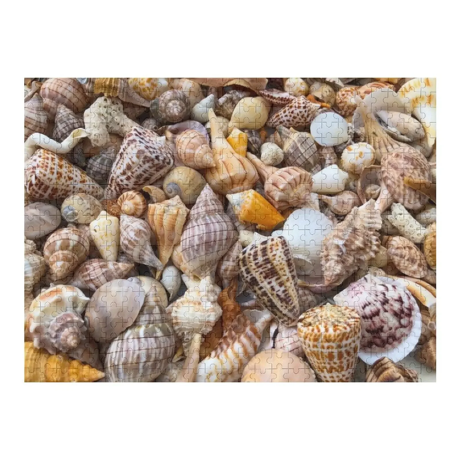 

SHELL PARADISE Jigsaw Puzzle Personalized Gifts Children Puzzle