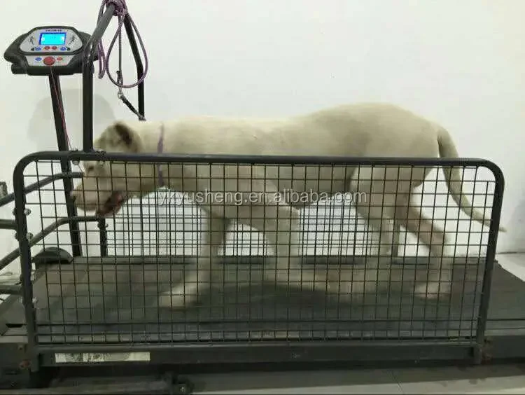 Treadmill Dog Pet Electric Walking Machine Price
