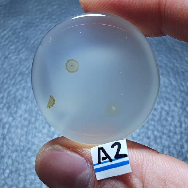 Natural marine chalcedony aquatic mineral specimen energy crystal healing home decoration