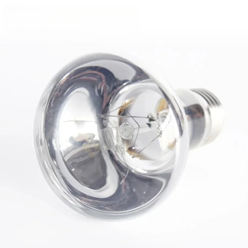40W/60W Reptile Simulated Natu - Calcium Powder Reptile 评论和价格
