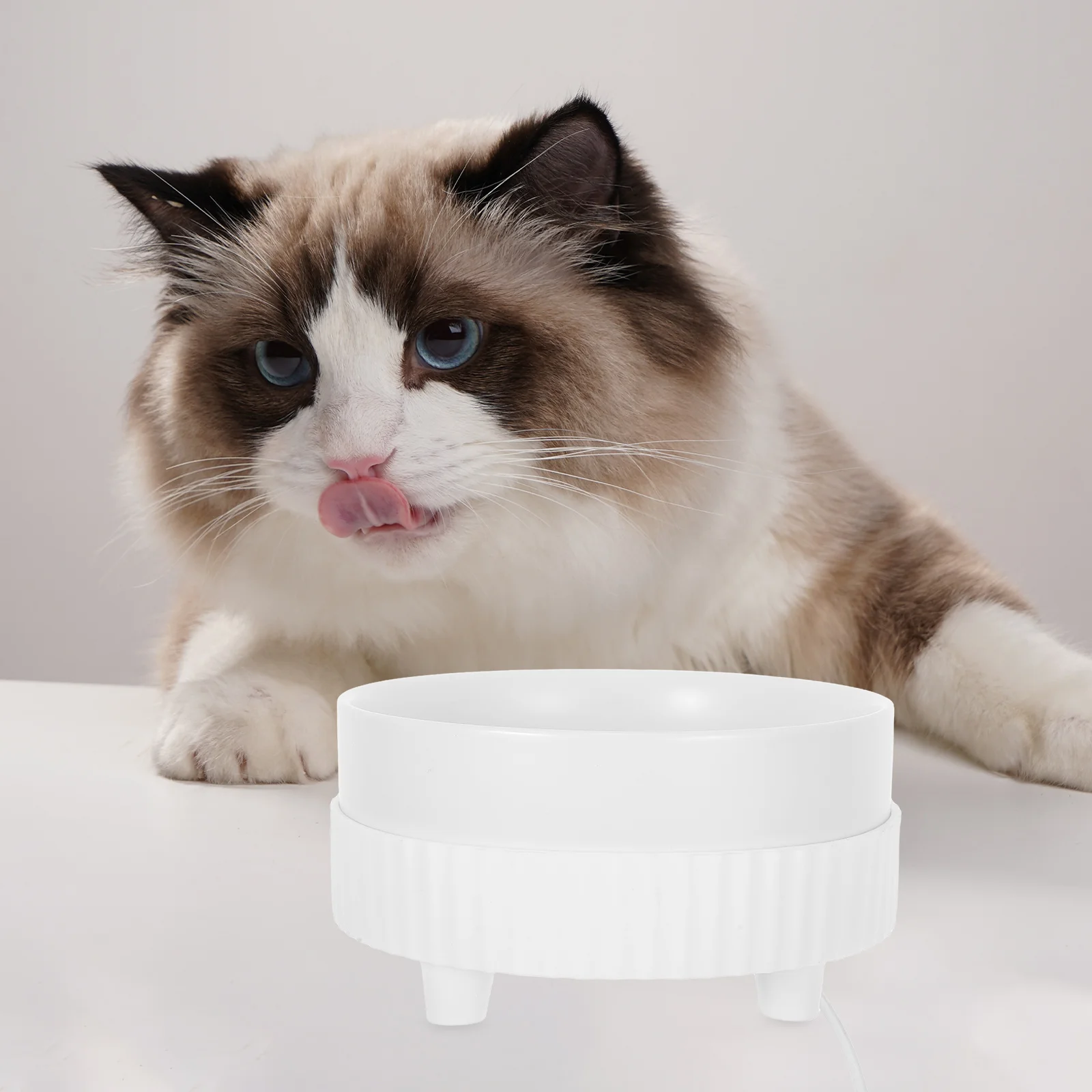 

Heated Ceramic Water Bowl for Cats and Dogs Intelligent Temperature Control Safe Materials Large Capacity Silent Design Indoor