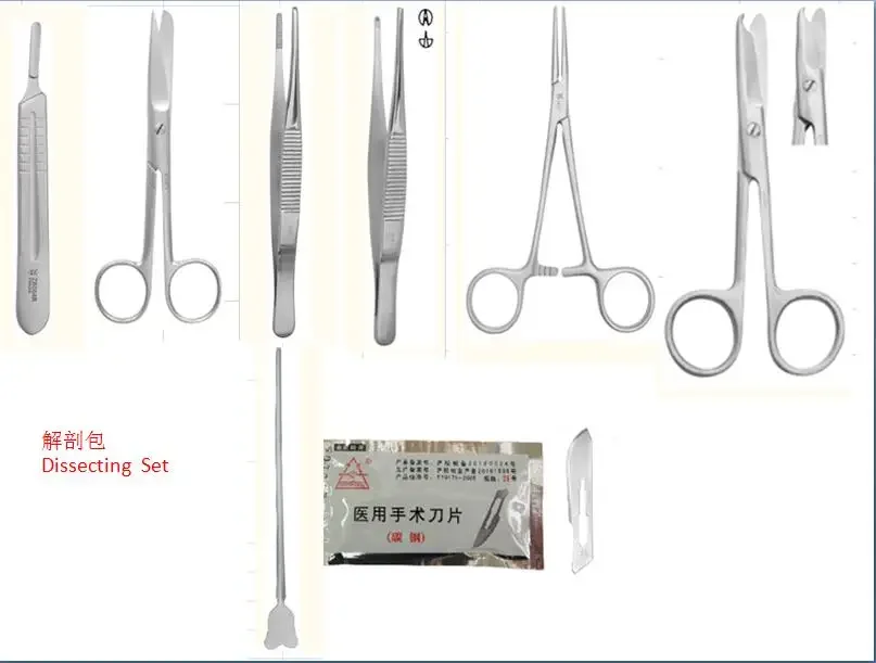 Surgical Instruments Veterinary Veterinary Instrument Surgical Animal Pet Surgical Instrument Set