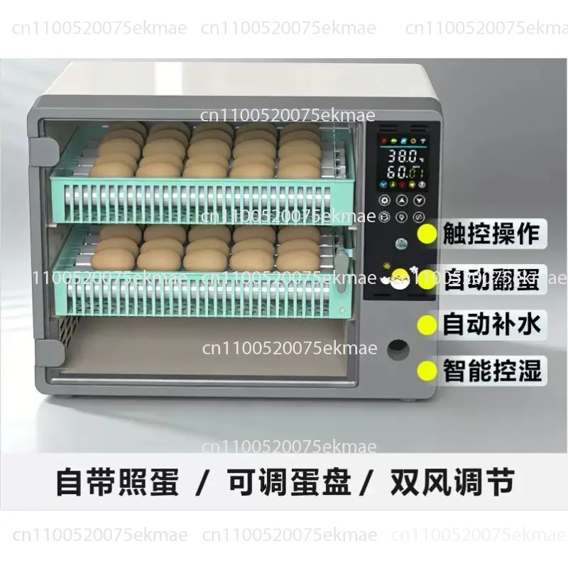 Incubator: Small, Domestic, Fully Automatic Egg Incubator  Rutin Chicken and Bird Egg Incubator